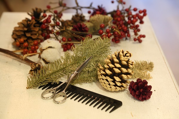 プリヴェの癒し